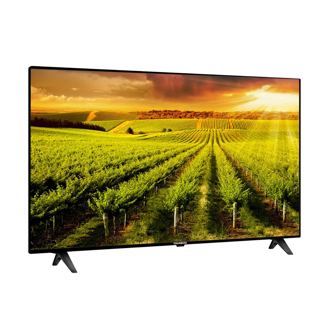 Nasco 43" LED Television – Model NAS-B43FBFL – view 3