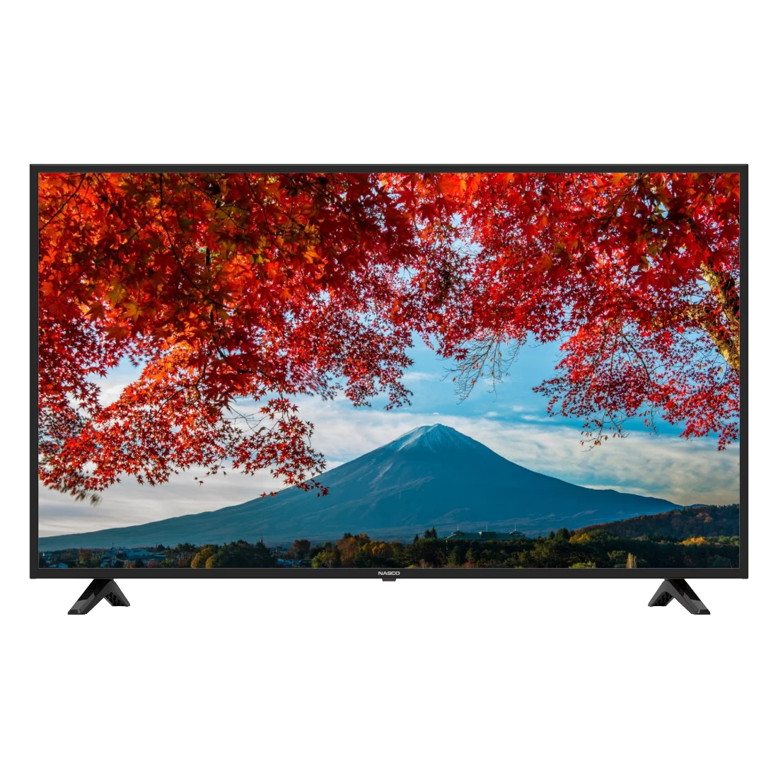 Nasco 40" Full HD LED Digital Satellite Television – Model NAS-J40FBFL – view 2